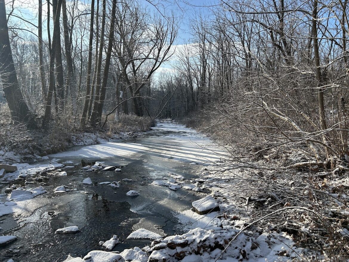 A Winter Glimpse of Jacobs Creek Trail