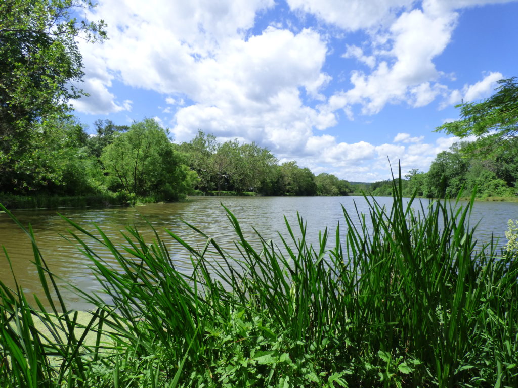 Upper Makefield endorses river management plan